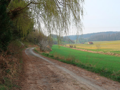 Wanderweg beim Bahnhof Wiebelsbach im Odenwald