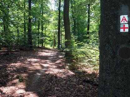 Hhenweg zwischen Otzberg und Hassenroth