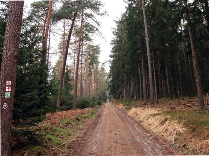 Hhenweg zwischen Schlagbaum und Steinerner Tisch im Odenwald