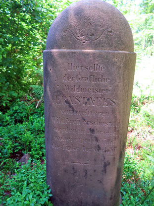 Neesstein in der Nhe vom Steinernen Tisch im Odenwald