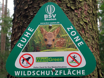 Ruhezone im Wald