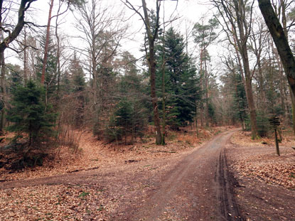 Schlagbaum, eine ehemalige Zollstation der Herren zu Erbach und zu Breuberg