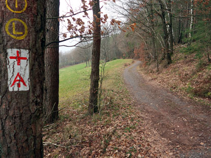 Wanderwweg unterhalb des Heikligenbertgs beim Ort Bllstein