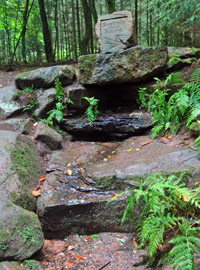 Siegfriedsquelle bei Grasellenbach im Odenwald