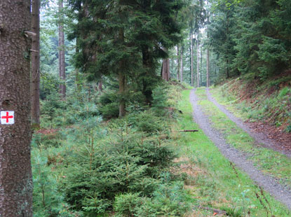 Mit einem roten Kreuz markiertem Wanderweg