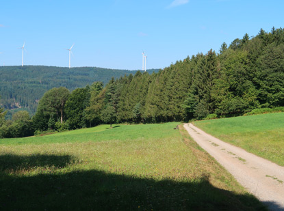 Abgangsweg vom Hhenweg nach Schnmattenwag