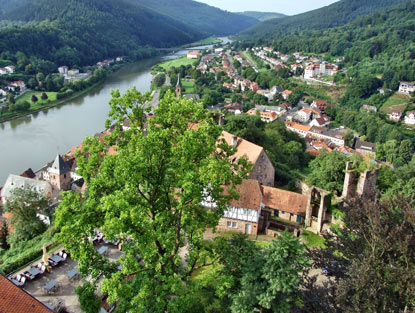 Blick von der Burg Hirschhorn auf die Altstadt