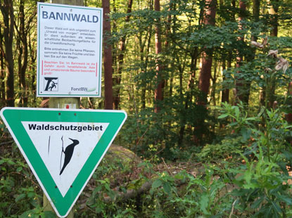 Hinweis fr einen Bannwald