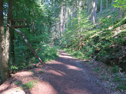 Hangweg zwichen Rainbach nach Neckargemnd