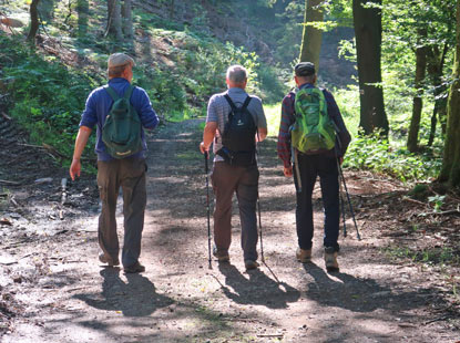 Wanderer auf dem Franken- Hessen- Kurpfalzweg