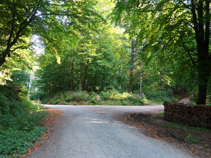 Melacpass bei Neckargmnd