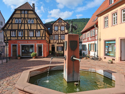 Hanfmarkt in Neckargemnd