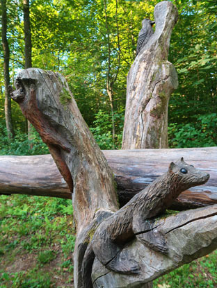 Am Sinnpfad: Wisel beobachtet die Wanderer auf dem Weg.