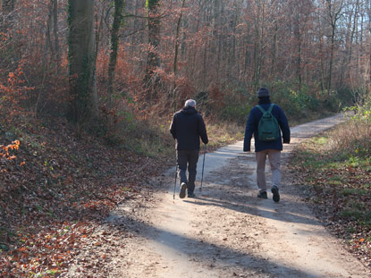 Zwei Wanderer morgens bei Leimen auf dem Weg nach Hockenheim