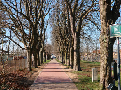 Der Wanderweg nach Speyer verluft ber die Kastanienallee  in Hockenheim