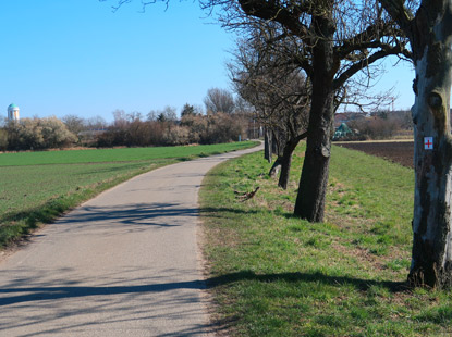 Wanderweg durch das Naturschutzgebiet westlich von Hockenheim