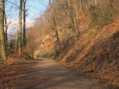 Wanderung Bltenweg Odenwald: Mnchbergweg, dieser Panoramaweg verluft oberhalb von Handschuhsheim