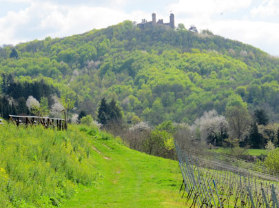 Odenwald: Der Bltenweg verluft unterhalb des Auerbacher Schlosses