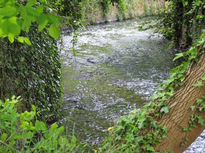 Wanderung Odenwald Bltenweg: Die Modau in Darmstadt-Eberstadt.