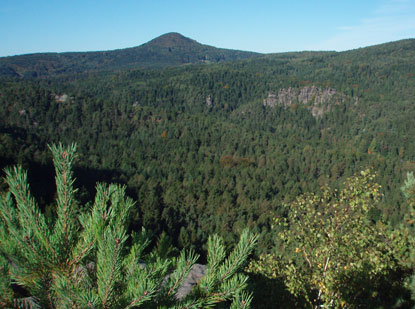 Das Wahrzeichen vom Zittauer Gebirge:  Die "Lausche" 793 m