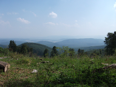 Nur 2,7 km vor dem Csvnyos, an der Wegkreuzung Foltn-kereszt, bietet sich ein Blick ins Tal