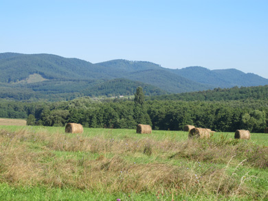 Bei Ngrd verluft der Fernwanderweg E4 zunchst durch ein Wiesengelnde, bevor er in auf den Hhen des Brzsny-Gebirge emporsteigt