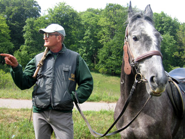 Der Lovsz (Pferdeflsterer) im Hochtal von Bnkt im Bkki-Gebirge bewacht die 2-3 Jahre alten Lipizzaner-Hengste