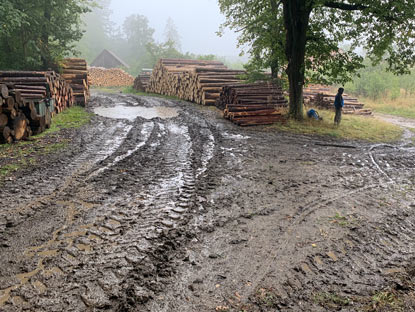 Wanderung durh den Mhrischen Karst: Regen bei Blansko-ilavice 