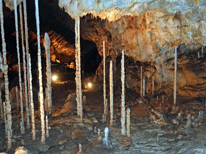 M#hrischer Karst: Stabstalagmiten in der Katharinen-Hhle bilden die Form eines Bambuswldchens