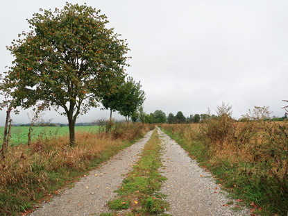 Wanderweg im Trockental Ostrovsk leb im Mhrischen Karst