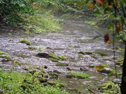 Wanderung  entlang dem Punkva-Fluss