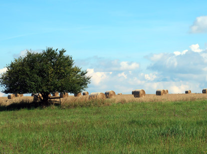 Wanderweg zwschen ďrn (Schdirarna) und Valchov