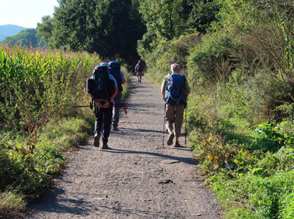 Wandern durch Mhren: Wanderweg nach Tisnov (Tischnowitz)