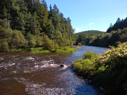 Wanderweg fhrt  entlang der Moldau