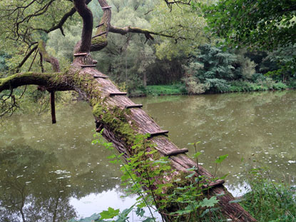 3 m Spungbrett in den Fluss Lainsitz