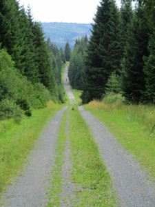 Kerzengerader Verlauf des Wanderweges