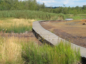 Naturschutzgebiet und Moorlandschaft Soos 