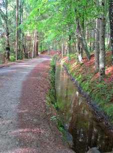 Der Schwarzenbersk plavebn kanl (Schwarzenberger Schwemmkanal)