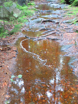 Aufgeweichte Wege nach dem Starkregen bei der  Čertova stěna (Teufelswand)