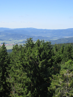 Blick vom Kleť  (Schninger) in nrdliche Richtung