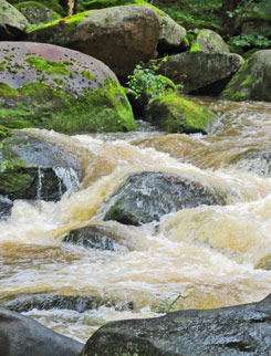 Die Moldau im Naturschutzgebiet bei Čertova stěna (Teufelswand)