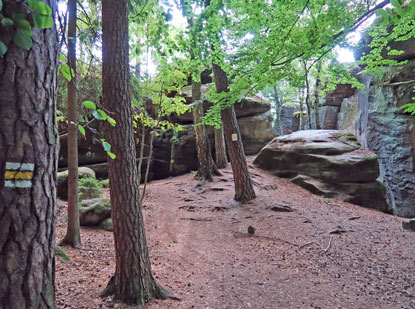 Ein gelb markierter Pfad fhr durch das Felsenlabyrinth Kalich in der Nhe von Besedice im Bhmischen Paradies