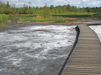 Naturschutzgebiet Soos: Typische Landschaft