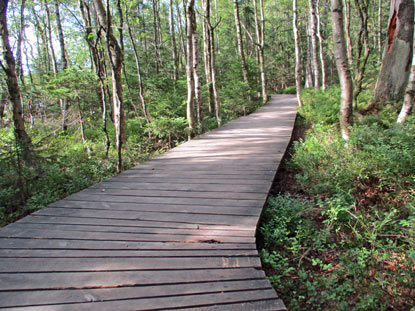 Rundweg von 1,6 km durch das Glatzer Moor