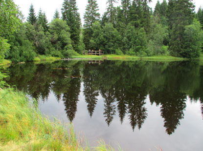 Jezero Laka 1.085 m (Lackensee) ist ein Gletschersee und mit nur 4 m Tiefe der flachste See im Bhmerwald