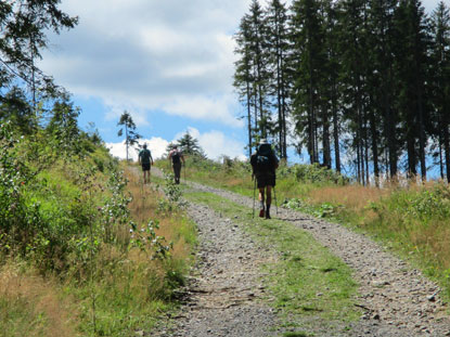 Aufstieg vom Vydratal zum Weiler Filipova Hut