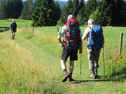 Hochflche bem ehemaligen Ort Bučina (Buchwald) 