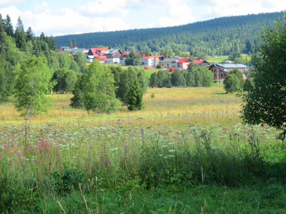 Kvilda (Auergefild) ist der hchstgelegene Ort Bhmens 
