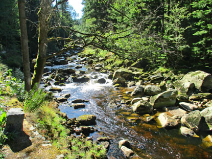 Die Vydra (Widra) ist zunchst ein kleiner Bach, der sich spter zu einem Fluss mit Stromschnellen und Wasserfllen entwickelt.