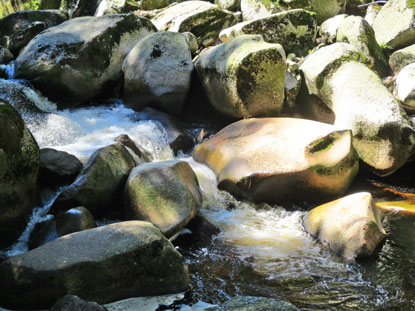 Der Dichter des Bhmerwaldes Karel Klostermann beschrieb die Vydra als "wilde Schlucht von nicht alltglicher Schnheit
